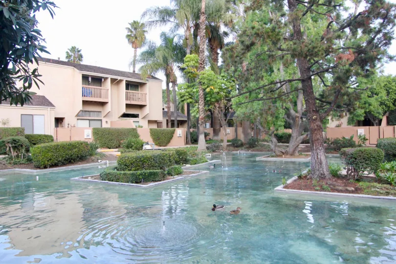 Water Gardens Fullerton California short buildings with tall trees and floor path filled with clean water