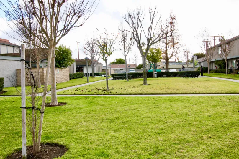 The beautiful moments of my life never before in Irvine California with a good infrastructure