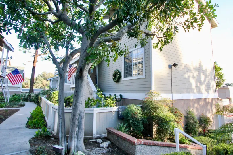 THE FLAT IN THE BROOKHAVEN CIRCLE WITH THE NATIONAL FLAGS, PLANTS, TREES