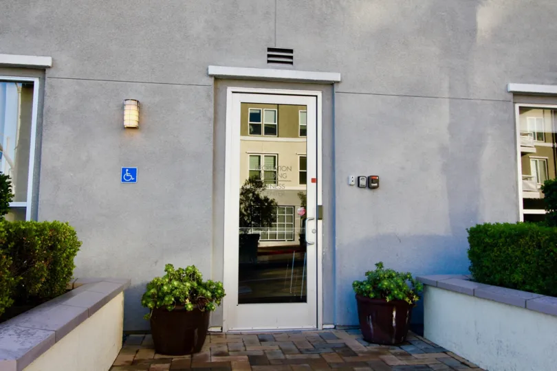 THE FLAT IN THE CHAPMAN COMMONS WITH THE CALLING BELL, FLOWER POTS, PLANTS, LAMP