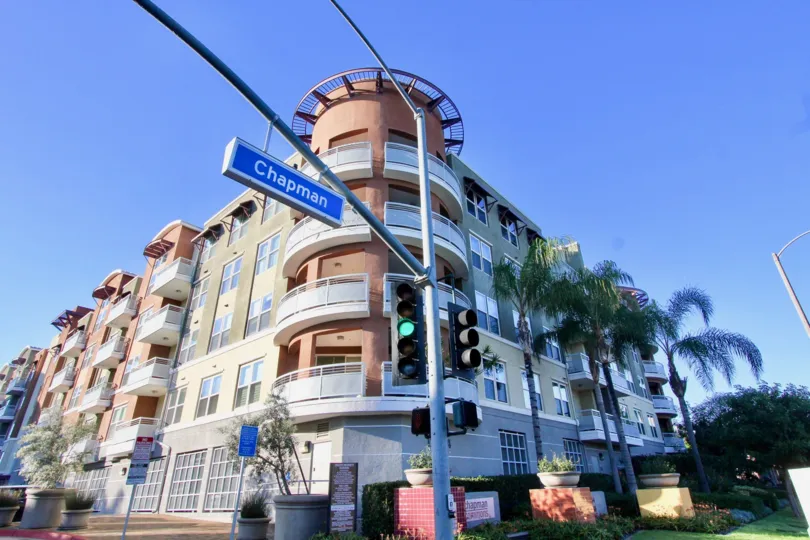 It's a beautiful sunny day on the street corner of Chapman with the view of a beautiful building and wonderful palm trees all around.