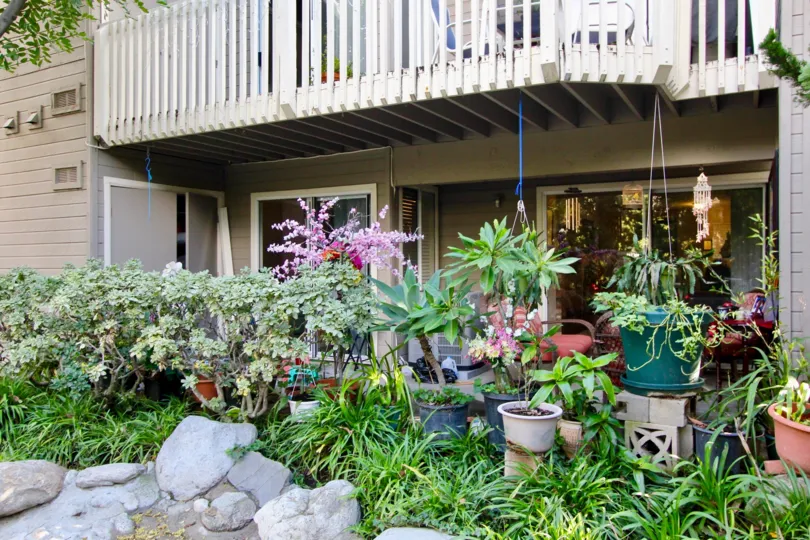 THE FLAT IN THE COBBLESTONE CREEK WITH THE FLOWER POTS, ROCKS, PLANTS
