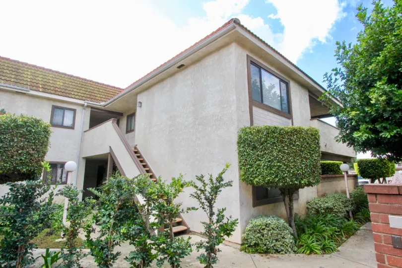 THE HOUSE IN THE FLOWER TREE WITH THE UPSTAIRS, PLANTS, TREES, BULP