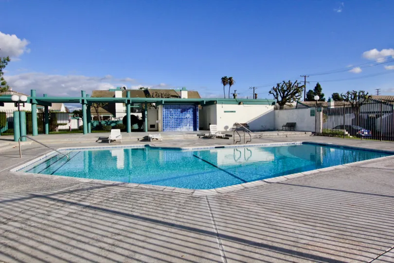 A clean pool decorated with chairs inside the compound wall near building decorated with trees and plants in Garden Greens
