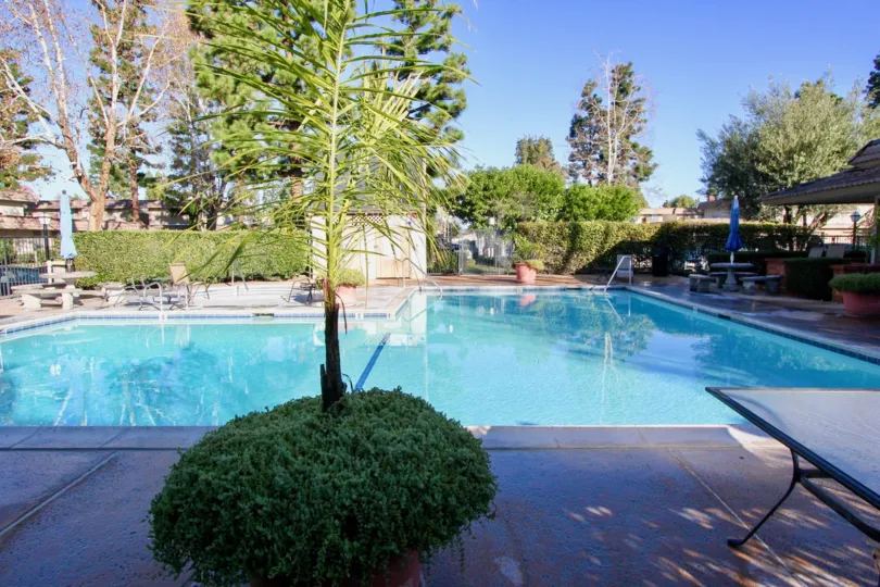 A pool surrounded with trees in the Garden park community of Garden grove city