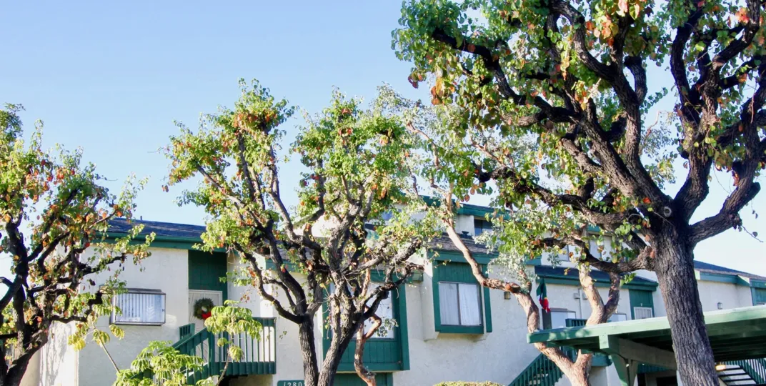 THIS IMAGE SHOWS THE HOME WITH LOT OF TREES WHERE ARE SITUATED AT THE CITY OF GARDEN GROVE