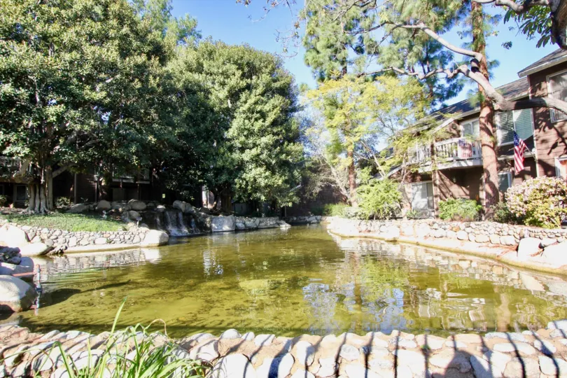 THE HOME IN THE LAKE GROVE WITH THE LAKE, STONES, PLANTS, TREES, FLAG