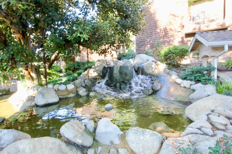 A sunny day in the community of Lake Grove with a fountain and pond
