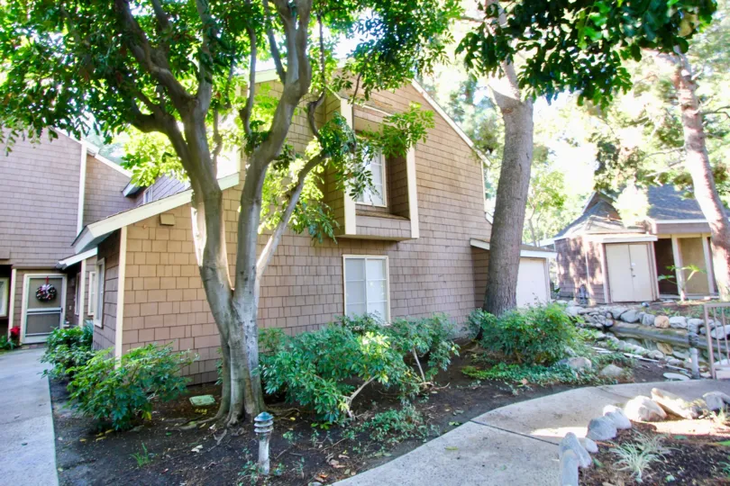 THE FLAT IN THE LAKE GROVE WITH THE PLANTS, STONES, TREES