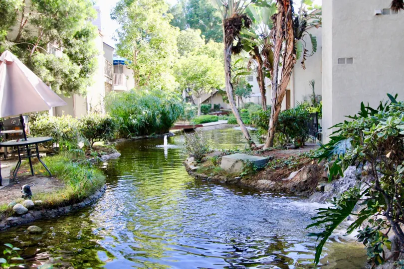 A stream runs in between houses in Garden Grovelifornia, with beutiful trees and plants on sides