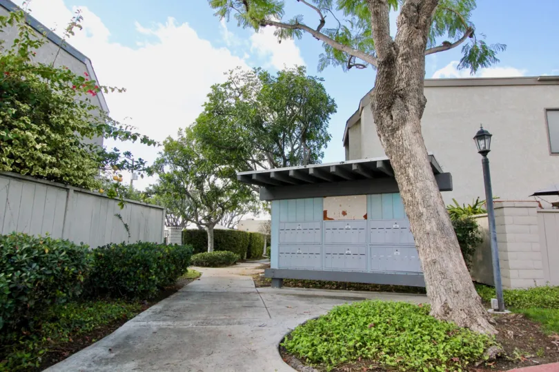 THIS IMAGE SHOWS THE SIDE VIEW OF THE HOUSE THAT LOOKS THE BEAUTIFUL PLANTS, TREES, PATHWAY TO THE HOME, NIGHT LAMP ARE IN THE CITY OF GARDEN GROVE