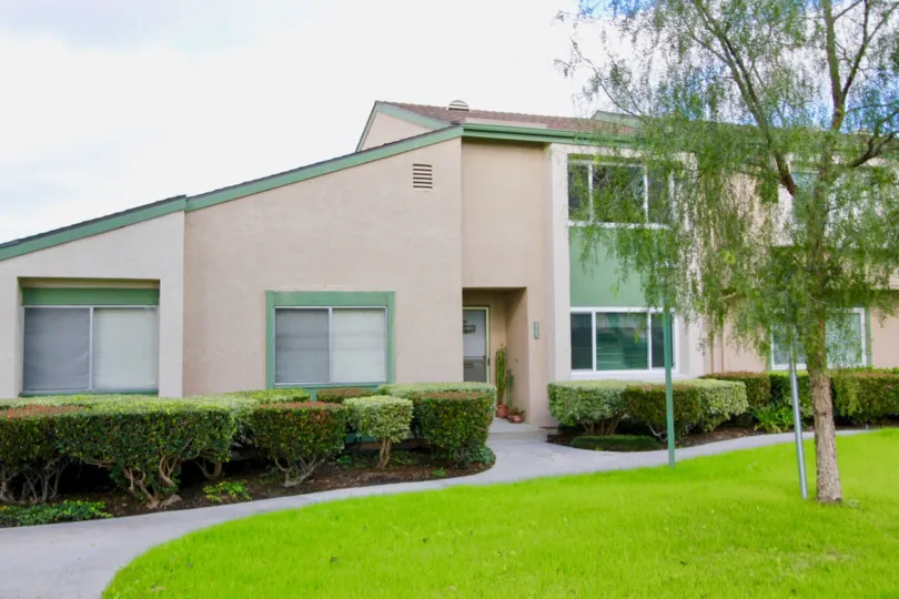 A beautiful green lawn and willow tree in front of a house in Pacific Gardend
