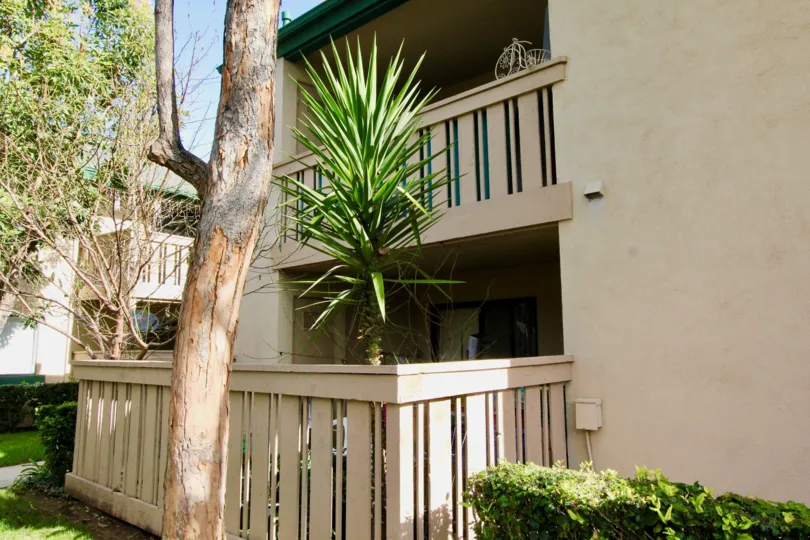 THE FLAT IN THE PARK GLENWOOD WITH THE BALCONI, PLANTS, TREES