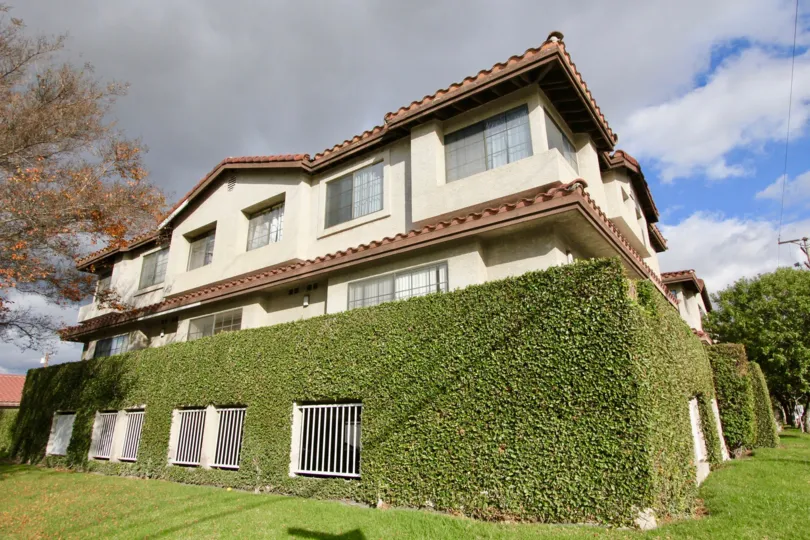 a tall hedge with white fencing in front of a tan home in Regency Terrace