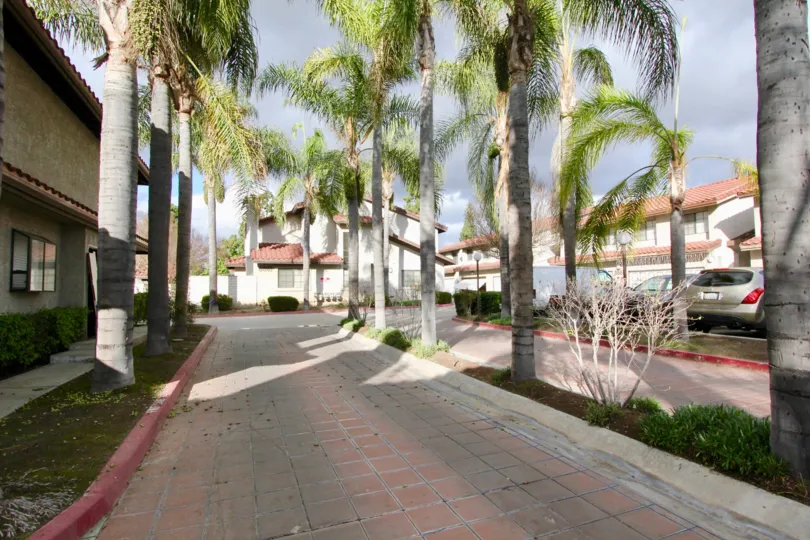 A wide walkway lined with trees inside the REgency Terrace located in Garden Grove California