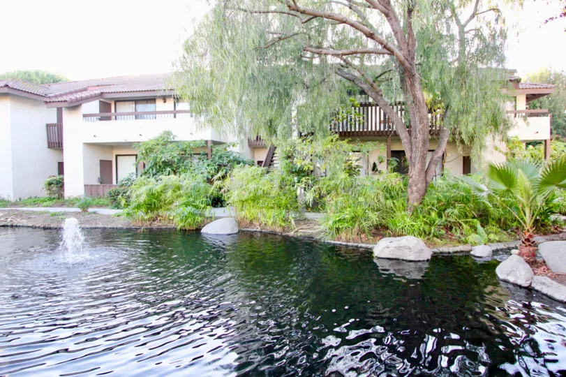 THIS IMAGE SHOWS THE LAKE NEAR BY THE HOME WITH TREES AND PLANTS WHICH IS IN THE VILLAS