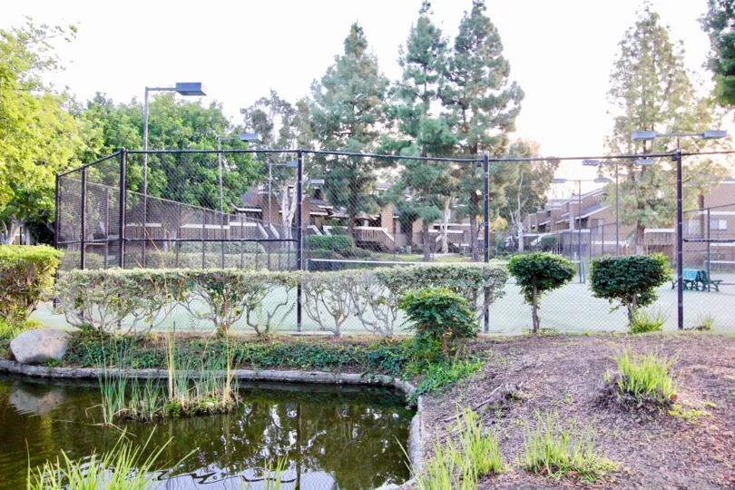 THIS SHOWS LIKE THE GARDEN THAT HAVE THE LOT OF TREES, PLANTS, BEAUTIFUL LAWN, NIGHT LAMB, CHAIRS WHICH IS IN THE CITY OF GARDEN GROVES