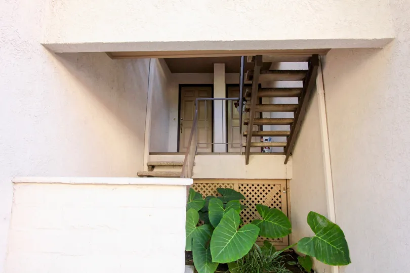 Village Green House building Step with green garden
