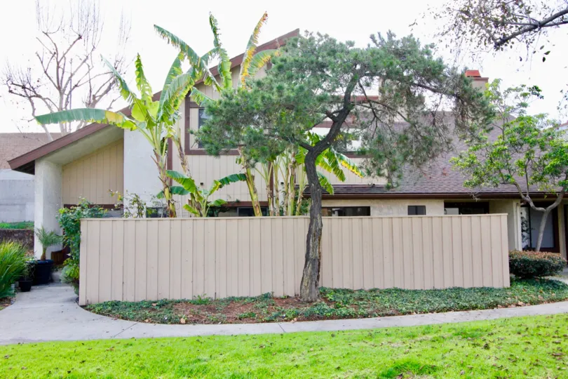 a house with a lot of lush greenery around and trees blocking the view