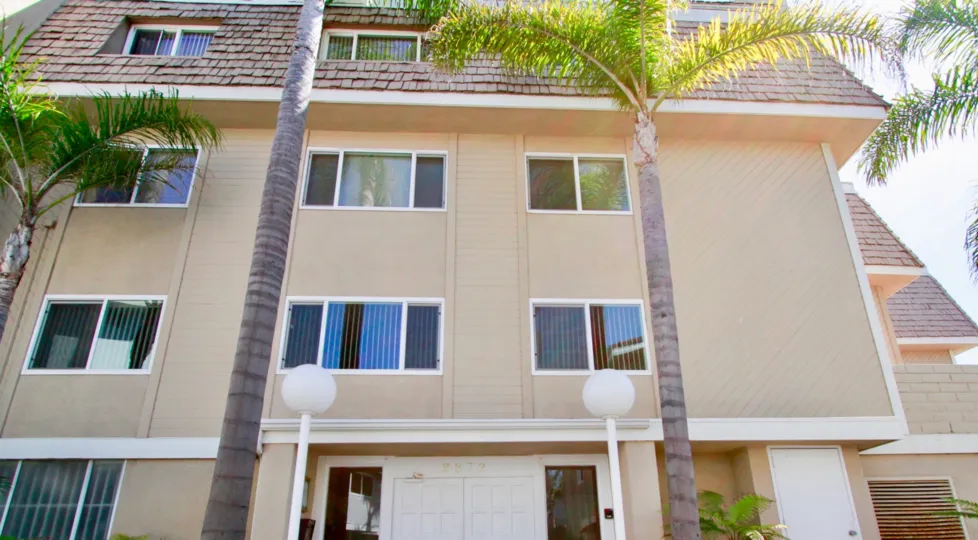 Tall palms along the streets of the Bayport Community