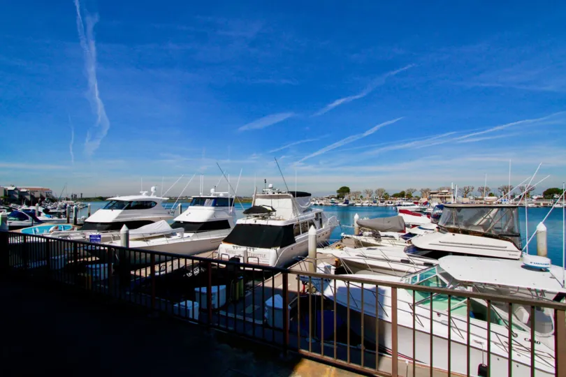 A sunny day in the Bayport with lots of ships, boats and also with beautiful atmosphere.