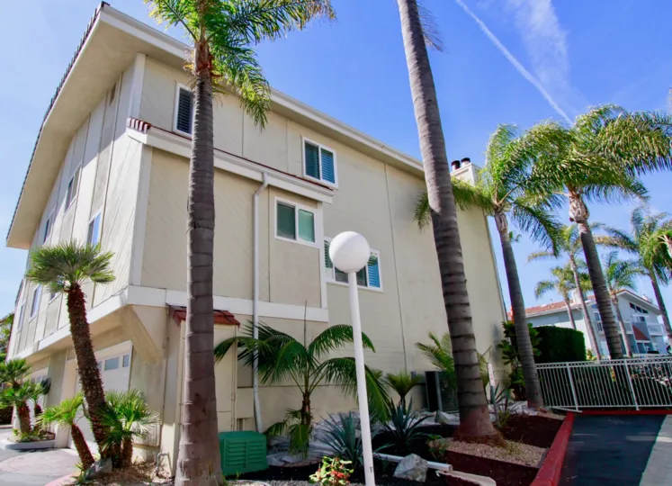A warm, sunny day with a landscape of palm trees in the Bayport community.