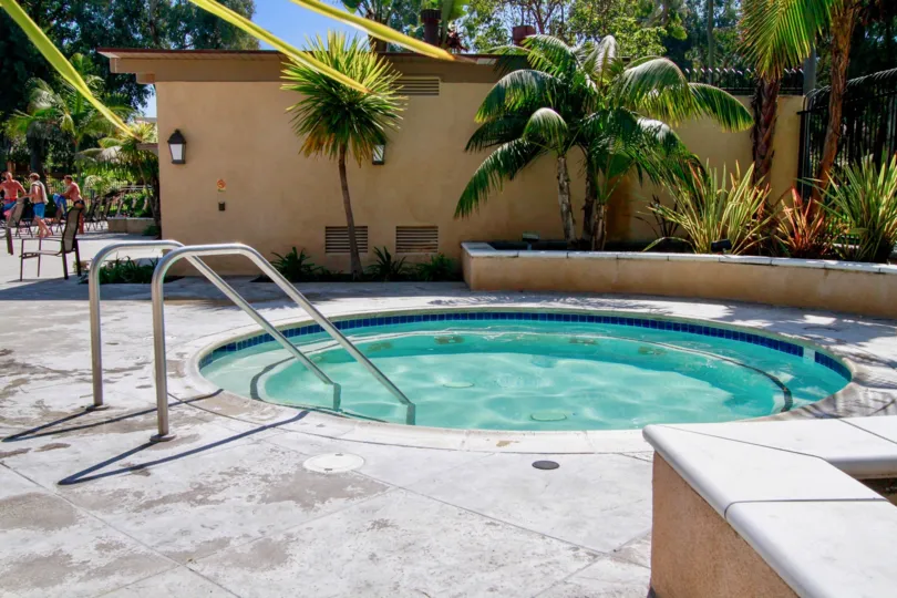Beachwalk pool with palm trees and bushes on a sunny day.