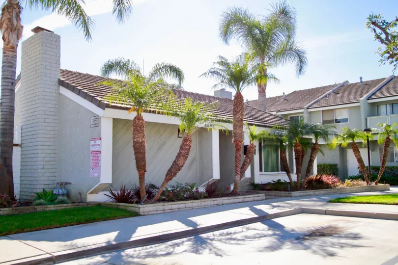 Cherrywood Village Huntington Beach California carrot shaped trunked palm trees beautiful