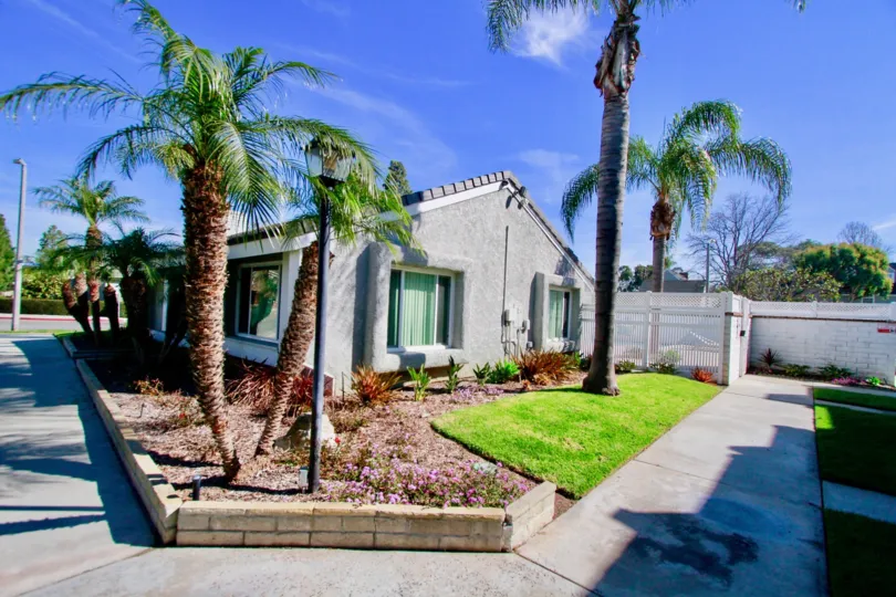 Cherrywood Village Huntington Beach California the bended palm trees add beautiness
