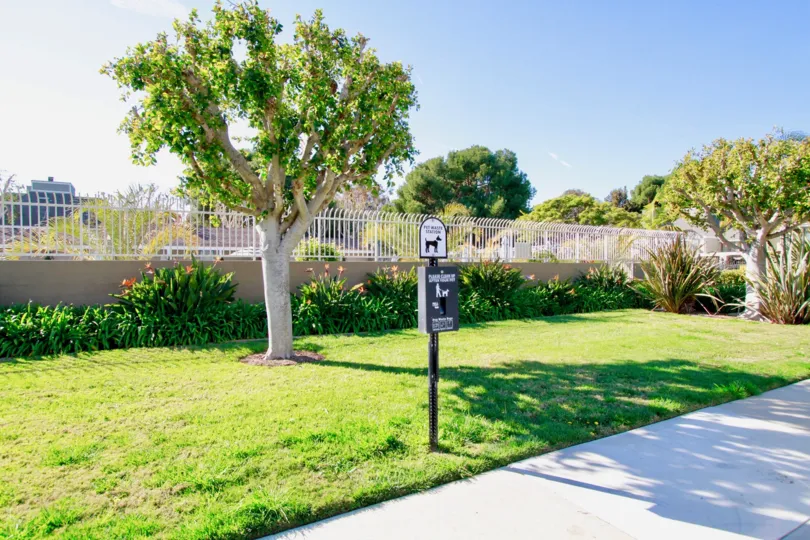 THE ENTRANCE GATE WITH WHITE COLOUR AND MORE PLANTS ARE NEAR TO THE GATE SOME TREES ALSO AVAILABLE A BUILDING LOCATED AT THE LITTLE DISTANCE FROM THE GATE