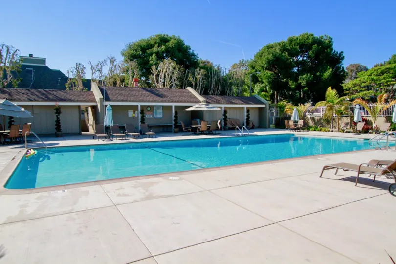 the traditional look holding swimmnig pool with the trees are locate in christiana bay of huntington beach of california