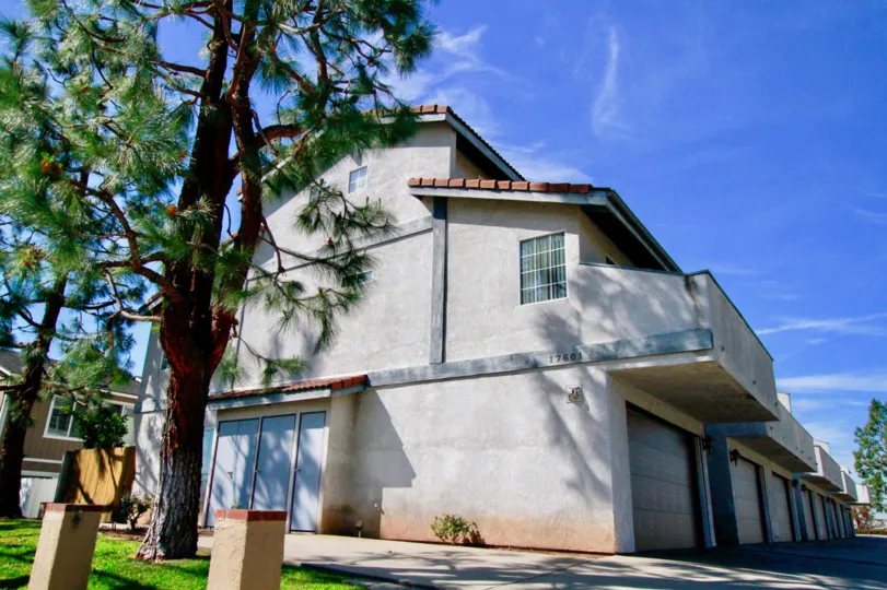 California bulding near to one big size tree and attach for the garass garden very look house balcony and bulding color light gray