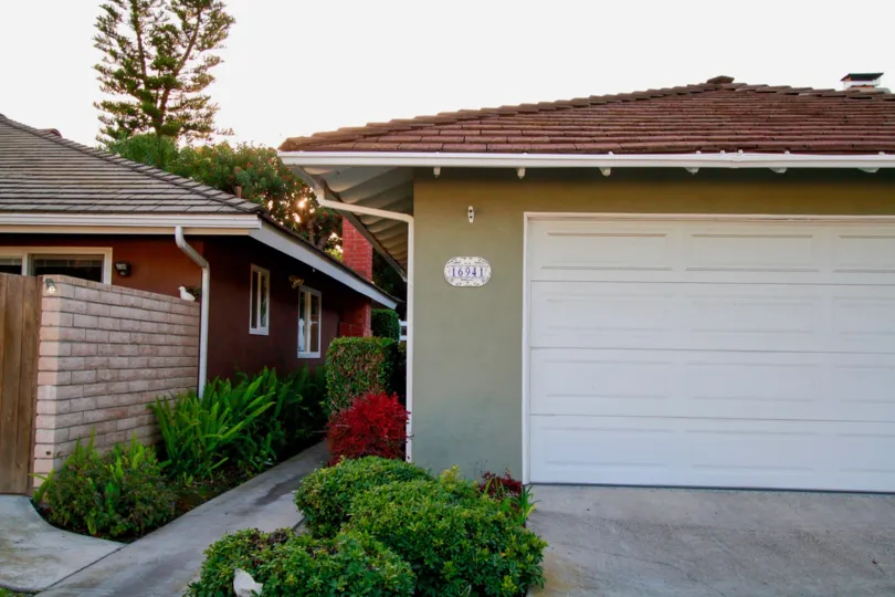 A peaceful surrounding in Fernhill with trees and plants