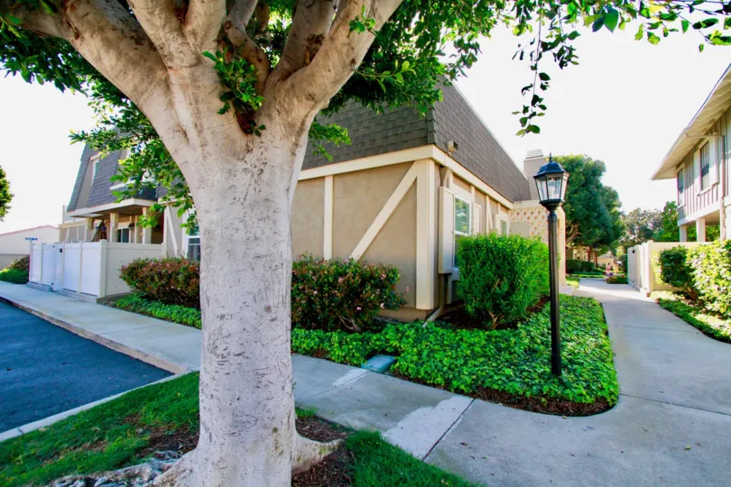 a large tree stands in the community of Gables in Huntington beach California