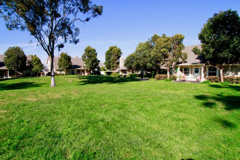 A sunny day in the Gables with lawn and homes with playground and also with lots of trees.