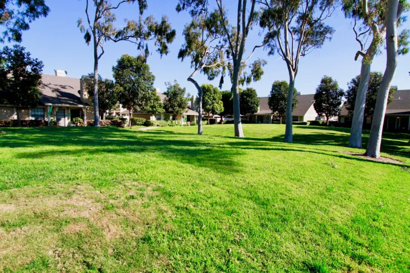 Gables Huntington Beach California tiny house hidden by huge plants and bush