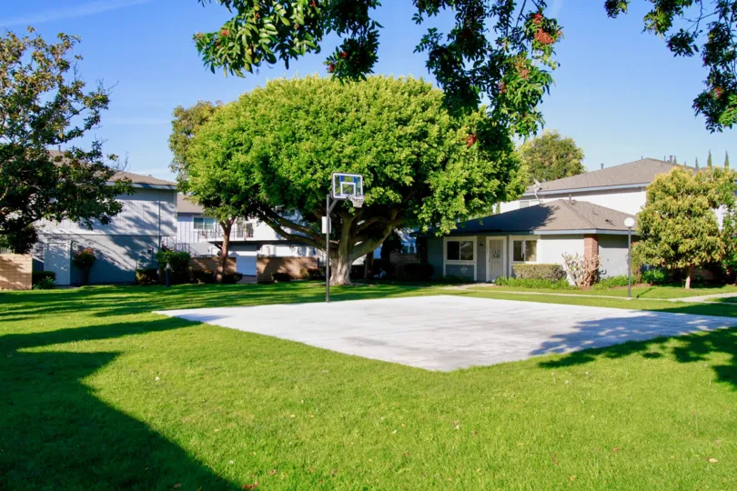 Nice green lawn with Baskeball court in Harbor Heights Villas of Huntington Beach