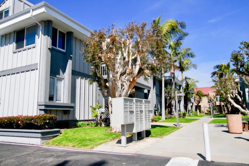 Harboring Villas sidewalk with mailboxes and trees on either side.