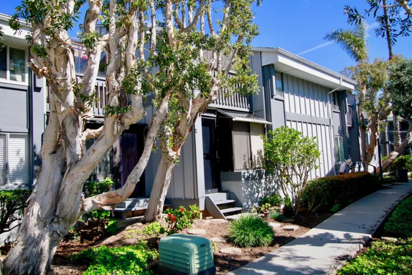Harbour Pacific apartments with a sidewalk and trees on a sunny day.