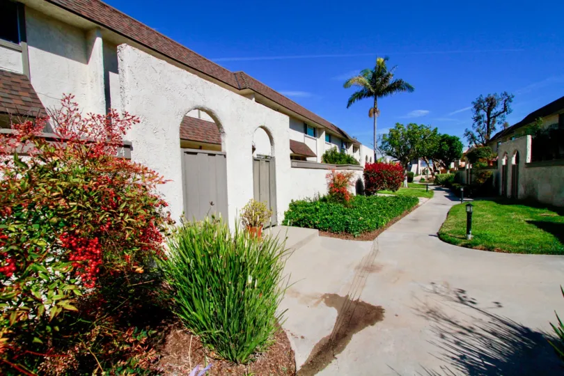 Harbour Village sidewalk with apartments on either side on a sunny day.