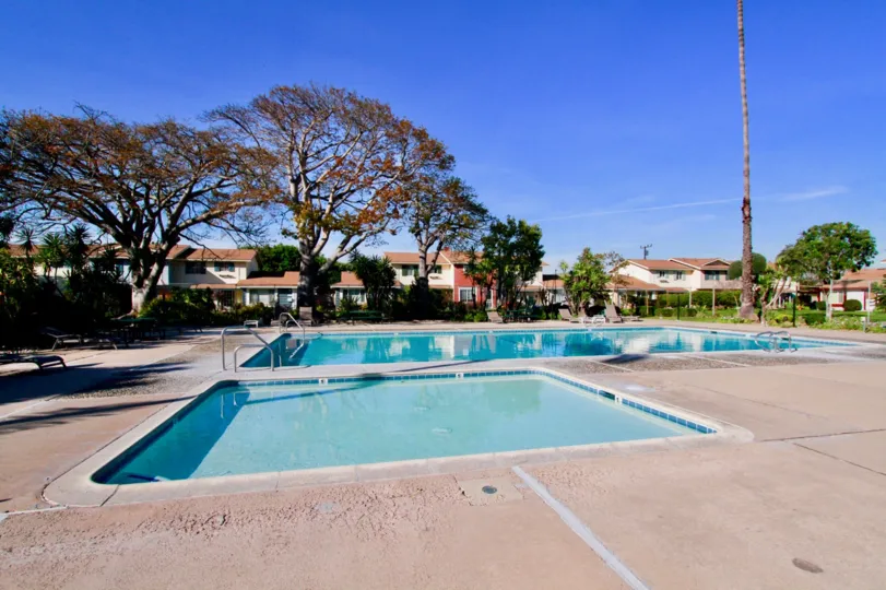 THE SWIMMING POOL WITH A LONG TREE AND SMALL POOL ALSO NEAR TO THE BIG ONE AND SOME BUILDING ALSO AVAILABLE LITTLE FAR SURROUNDING THE POOL
