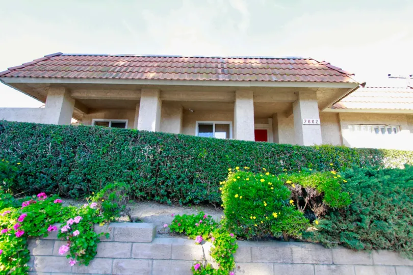 Huntington Creek building with a stone fence with plants.