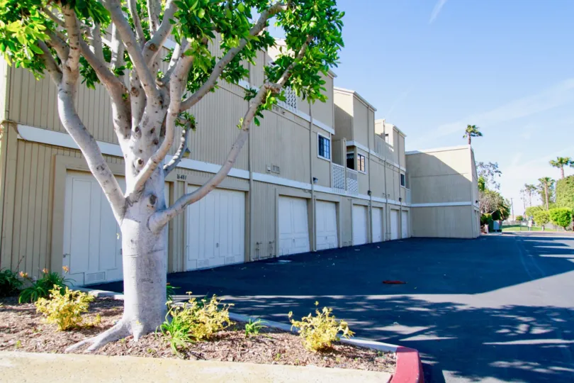 THE BUILDING LOOKS LIKE LONG AND SOME TREES AND PLANTS ALSO NEAR TO THE BUILDING AND A ROAD ALSO IN FRONT OF THE PLACE