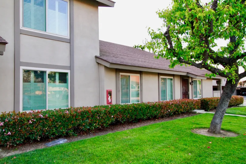 Nice Green trees near villas in Huntington Township of Huntington Beach