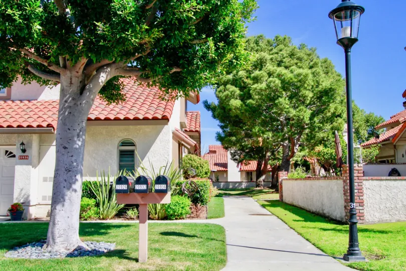 La Cuesta By the Sea California huge trees dominating the build structure and beauty of nature