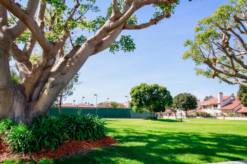 La Cuesta By the Sea lawn with trees and other plants on a sunny day.