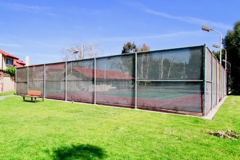 A sunny day in the Wilson Park Condos with playground and also with lawn fully fencing with lots of trees and plants.