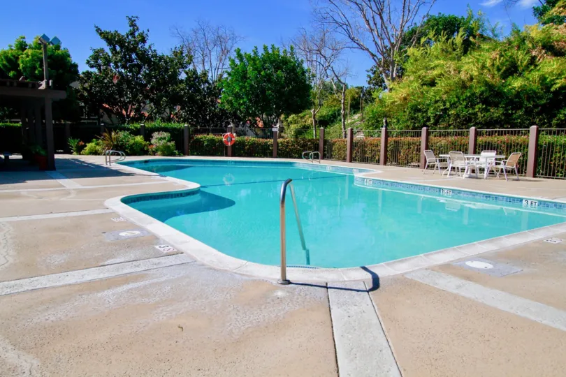 A sunny day at the Landmark Yorktown pool, surrounded by trees and a blue sky
