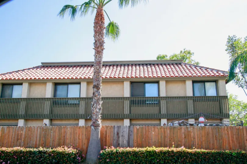 A qauint house stands behind a large and thin palm tree on a sunny day