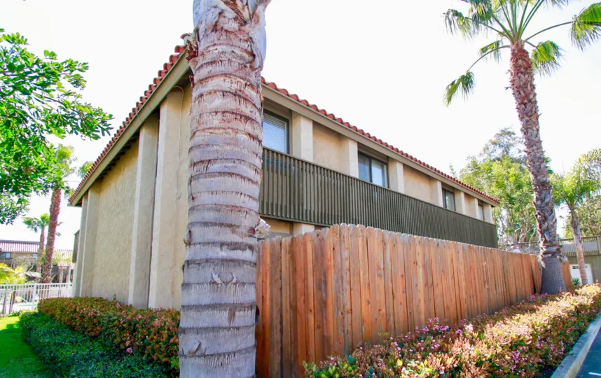 the plants are secured with the wooden compount which is found in las brisas, huntington beach, california